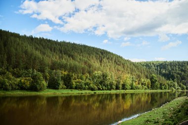 Çam ağaçlı bir orman gölünde mavi su.