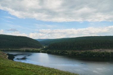 Çam ağaçlı bir orman gölünde mavi su.