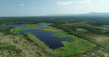 Tayga orman uçağındaki dolambaçlı nehir Magadan, Uzak Doğu Rusya 'ya inmeden önce.