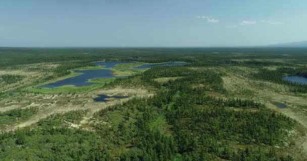 在俄罗斯远东地区马加丹登陆前，泰加森林飞机俯瞰的蜿蜒河流. — 图库视频影像