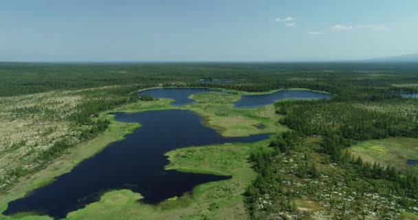 극동 러시아 의 마가단 에 착륙하기 전에 타이가 삼림 비행기를 타고 흐르는 강. — 비디오