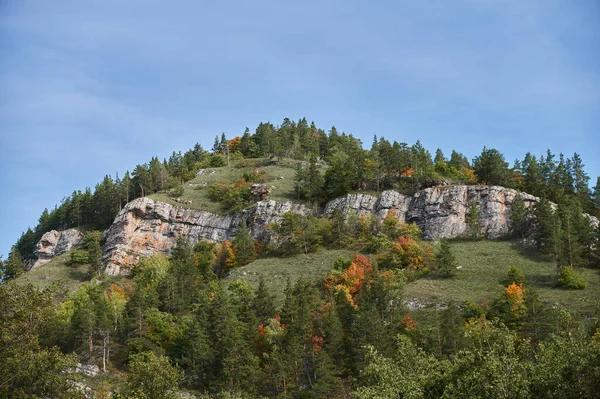 Topputsikt över färgglada skogsträd och sjö under höstsäsongen. — Stockfoto