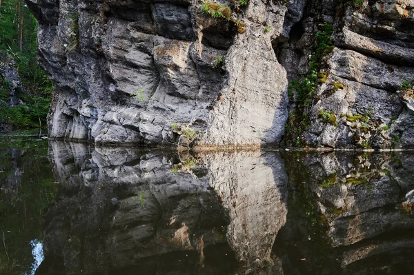 湖の水の上の石の上の森. — ストック写真