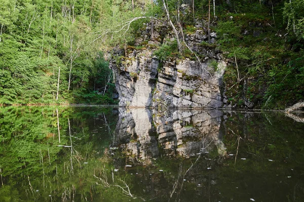 Forêt sur les pierres au-dessus des eaux du lac. — Photo