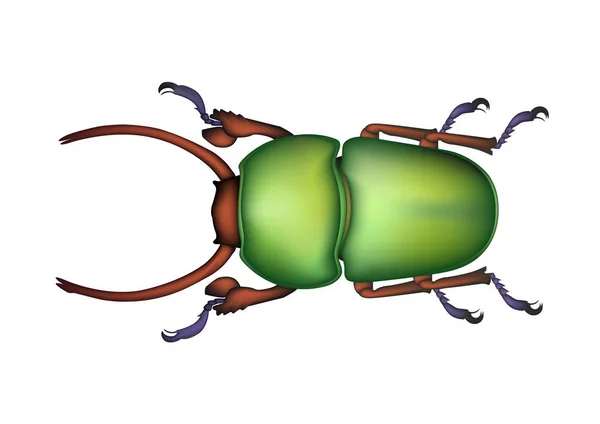 Insecte Scarabée Dessiner Vert — Image vectorielle