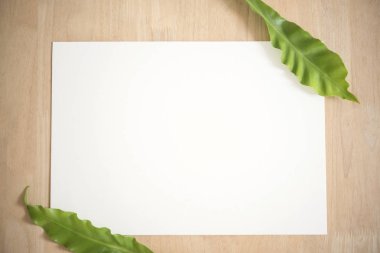 Boş beyaz kağıt kartpostal yeşil yaprak. mockup şablon için. 
