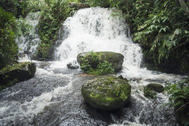 Yağmur ormanlarında, Tayland ormandaki ekolojik sistemi güzel şelale.