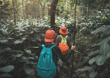 Yağmur ormanlarında Trekking grubu. macera ve explorer kavramı.