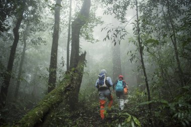 Yağmur ormanlarında Trekking grubu. macera ve explorer kavramı.