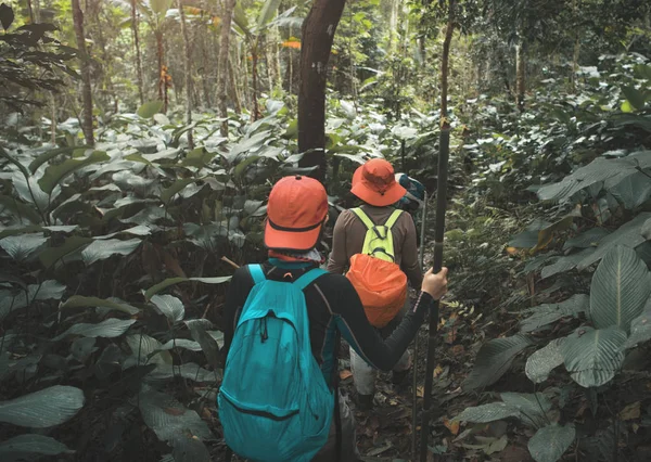 Group Trekking Rainforest Jungle Adventure Explorer Concept — Stock Photo, Image