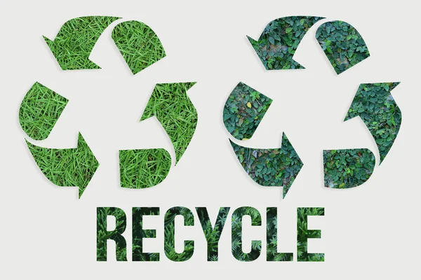 Recycling Symbol Grünes Gras Auf Weißem Hintergrund Draufsicht Öko Und — Stockfoto