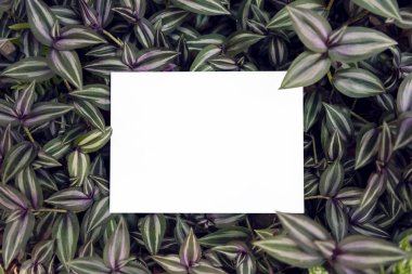 Boş kağıt kartpostal yeşil yaprak üzerinde mockup şablon tasarım düğün kartı için. 