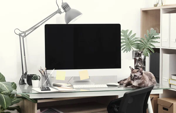 職場モックアップの概念。機器を備えたオフィスの装飾デスクトップコンピュータ。クリエイティブ ワークスペース. — ストック写真