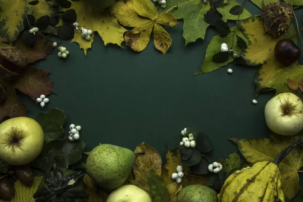 Темно Зелене Жовте Осіннє Листя Плодів Рамка Натюрморт Вид Зверху — стокове фото