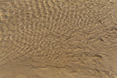 Sahilde yumuşak kum Baltık Denizi sığ temiz su güzel güneşli güzel dalgaları 