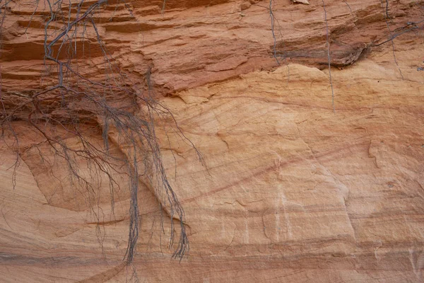 Hermosa Superficie Textura Acantilado Piedra Arenisca Capas Rojas Con Raíces — Foto de Stock