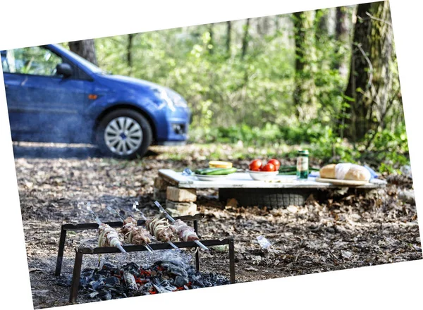 Barbecue family. Concept of outdoor recreation by the family. On a background blurred car. camping. picnic in the forest