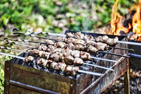 羊肉串烤肉串在烤架上烤 烧烤派对吃户外概念 — 图库照片