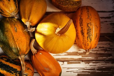 Kabak Şükran günü arka plan, ahşap masa üzerinde turuncu kabak, sonbahar, kopya alanı, üstten görünüm