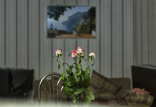 Delicate Rozen Een Vaas Tafel Woonkamer — Stockfoto