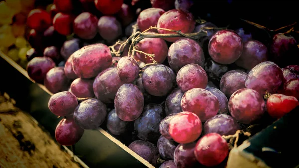 Grappolo Uva Rossa Sole Una Vetrina Negozio — Foto Stock