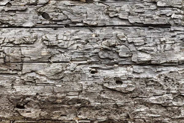 Hintergrund Alter Baumrinde Kiefernholz Textur — Stockfoto