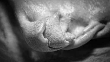 Siyah ve beyaz. Taze fırın, makro çekim piecrust