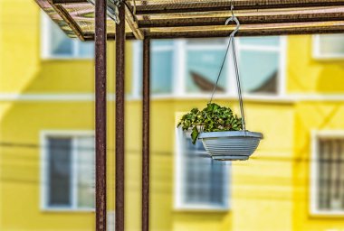 Yaz terasında askıya bir çiçek ile kase