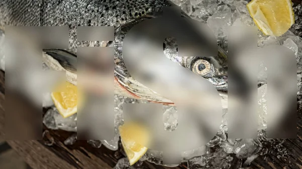 サーモン サーモン フォント フォント透明魚氷の上で コンセプト 魚事業 — ストック写真