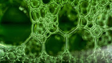 Şampanya köpük doku. Bir şişe şampanya köpük makro fotoğraf