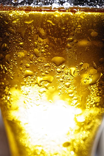 Glass, beer, isolated, drop, alcohol, pint, water, foam, frosty, — Stock Photo, Image