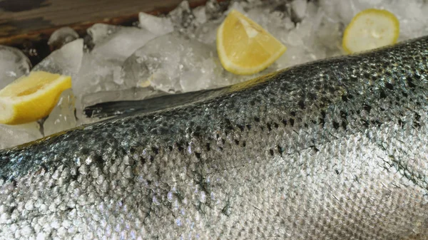 Salmon, ice, fish store, fish, food, frozen, seafood, production