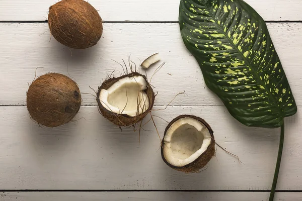 iki hindistan cevizi, hindistan cevizi yağı, hindistan cevizi ürünleri, shutterstock, palmiye 