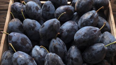 alamy, koyu arka plan, dikey, yapraklar, stok fotoğraf, organik f