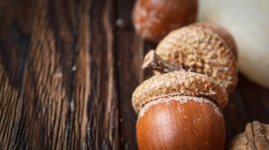 peçete halkası, sonbahar dekor, şükran yemeği, şükran masası