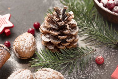 Noel ağacının dallarında köknar konisi.