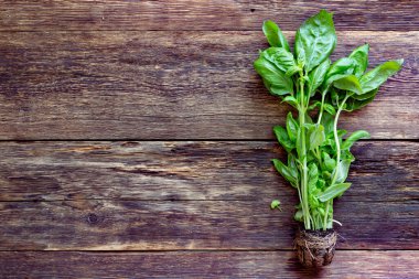 Ahşap arka planda taze fesleğen.