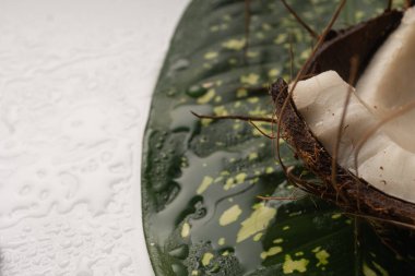 Kırılmış hindistan cevizi parçaları beyaz masaya yakın.