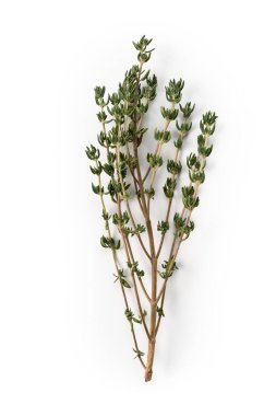 Close-up of fresh thyme sprigs isolated on white background. Aromatic culinary herb used for cooking, Medicinal Plant