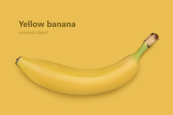 Banan Isolerad Vit Bakgrund Vektorillustration — Stock vektor