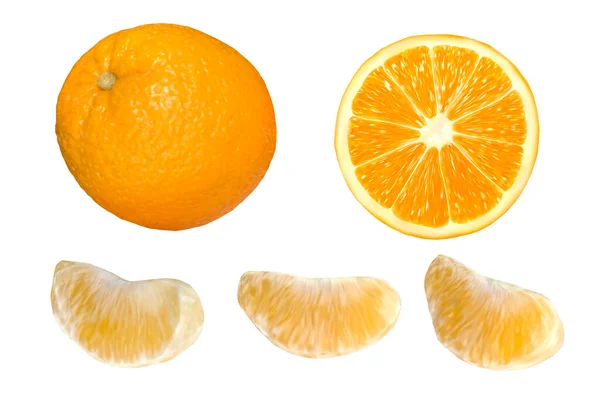 Naranja Realista Aislado Sobre Fondo Blanco Fruta Naranja Fresca Ilustración — Vector de stock
