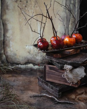 Kuru ağaç dalları metal tepsi ve ahşap kurullarında, kopya alanı ile Cadılar Bayramı için karamelize elma