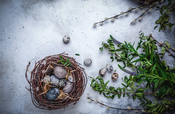 Top View Easter Composition Eggs Nest Green Branches Stone Background — Stock Photo, Image