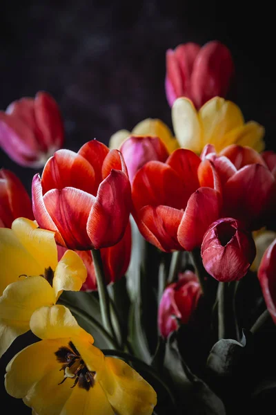 Kolorowy Bukiet Tulipanami Wiosennymi Ciemnym Tle — Zdjęcie stockowe