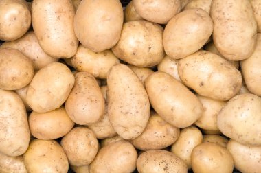 Taze organik patatesler piyasadaki pek çok büyük arka plan patatesi arasında göze çarpar. Patates kökü yığını. Patates sosunu yakından çek. Makro patates..