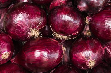 Büyük kırmızı soğan arka plan taze sebze yemek