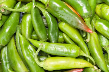 Sıcak sebze bitki biber biber