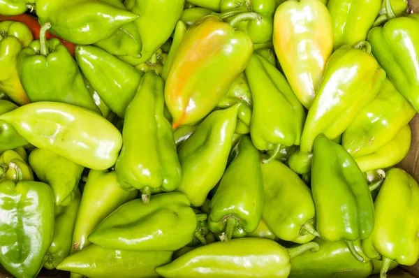 Groene Peper Groene Paprika Oogst — Stockfoto