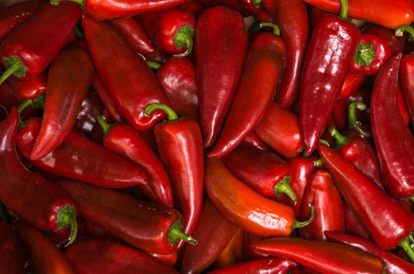 Haufen Reifer Großer Roter Paprika Auf Einem Straßenmarkt Sofia Bulgarien — Stockfoto