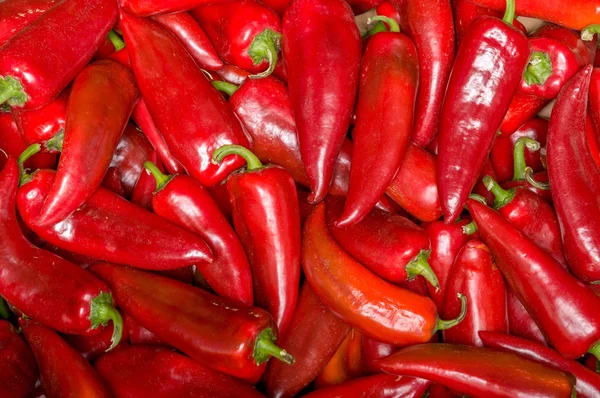 保加利亚索非亚一条街市场上成熟的大红辣椒堆 — 图库照片